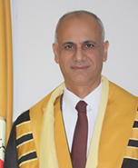 About the Center